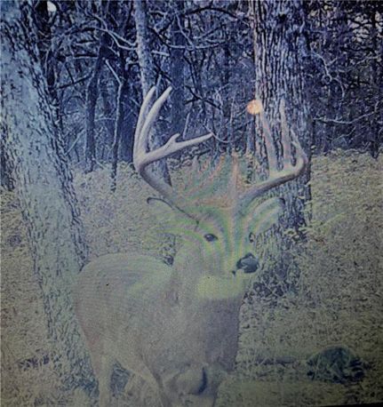 Timberland Property in Linn County, Kansas