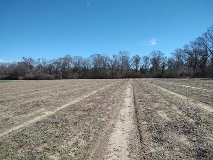 Farm and Ranch in Houston County, Alabama