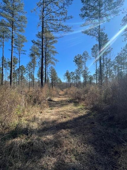 Undeveloped Land in Pike County, Georgia