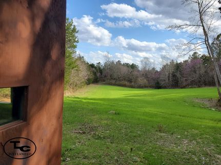 Timberland Property in Sumter County, Alabama