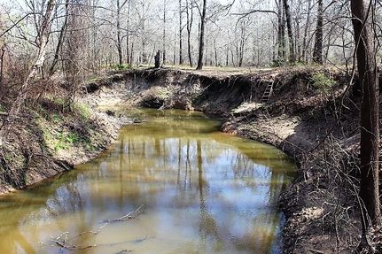 Recreational Property in Leon County, Texas