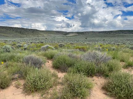 Undeveloped Land in Costilla County, Colorado
