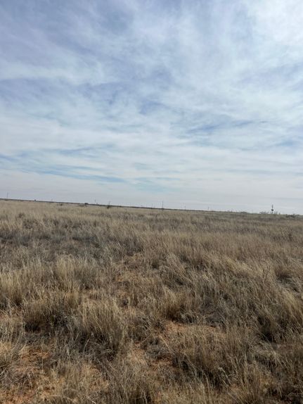 Timberland Property in Gaines County, Texas