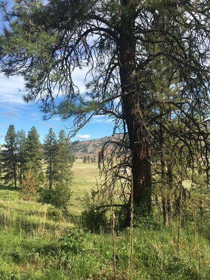 Recreational Property in Okanogan County, Washington