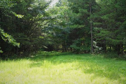 Undeveloped Land in Rhea County, Tennessee