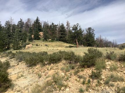 Undeveloped Land in Carbon County, Utah