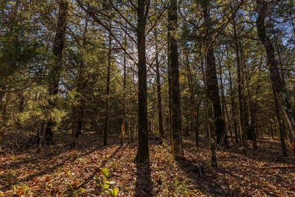 Undeveloped Land in Pittsburg County, Oklahoma