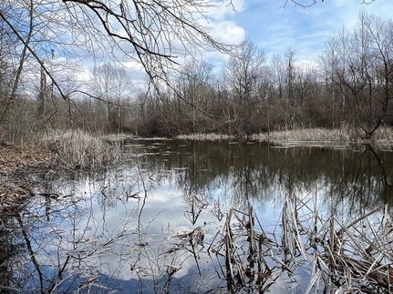 Timberland Property in Jackson County, Ohio
