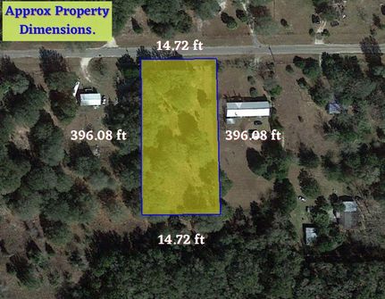 Undeveloped Land in Levy County, Florida