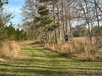 Land in Georgetown County, South Carolina