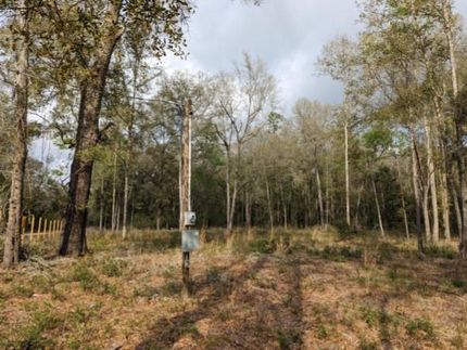 Homesite in Suwannee County, Florida