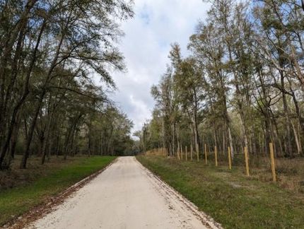 Undeveloped Land in Suwannee County, Florida