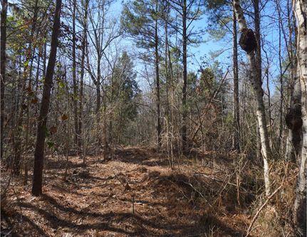 Recreational Property in Chester County, South Carolina