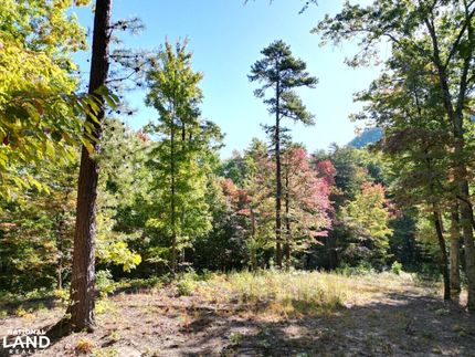 Commercial Property in Cocke County, Tennessee