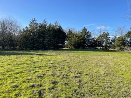 Undeveloped Land for sale in Fannin County, Texas