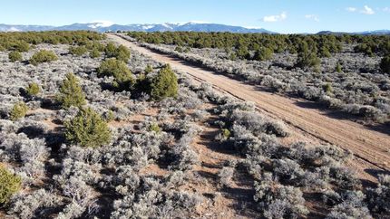Undeveloped Land in Costilla County, Colorado