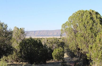 Undeveloped Land in Yavapai County, Arizona
