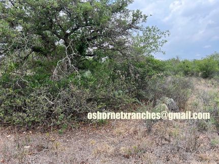 Farm and Ranch in McCulloch County, Texas