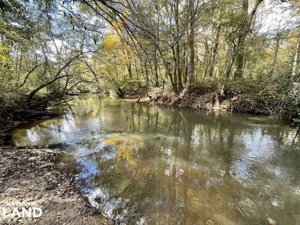 Hunting Property in Crenshaw County, Alabama