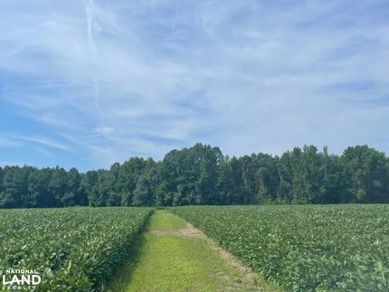 Timberland Property in Florence County, South Carolina