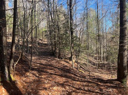 Farm and Ranch in Caldwell County, North Carolina