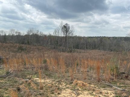 Farm and Ranch in Macon County, Alabama