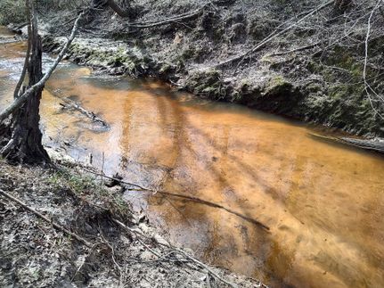 Timberland Property in Bullock County, Alabama