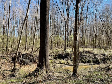 Land in Madison County, Mississippi