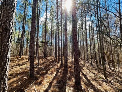 Recreational Property in Union County, Mississippi
