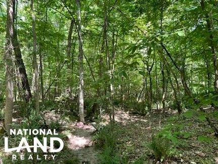 Land in Hardin County, Tennessee