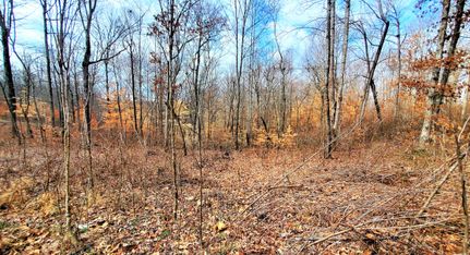 Farm and Ranch in Stewart County, Tennessee
