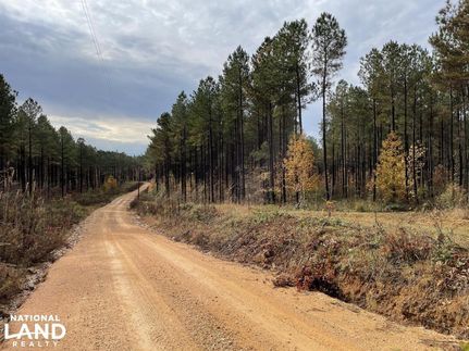 Undeveloped Land in Henderson County, Tennessee