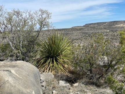 Recreational Property in Crockett County, Texas