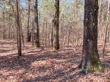 Timberland Property in Red River County, Texas
