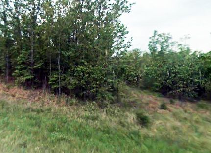 Undeveloped Land in Izard County, Arkansas