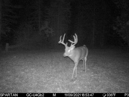 Recreational Property in Marquette County, Wisconsin