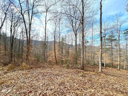 Undeveloped Land in Madison County, North Carolina