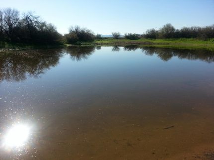 Undeveloped Land in Maricopa County, Arizona