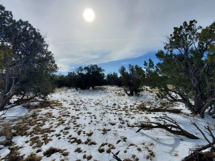 Farm and Ranch in Apache County, Arizona
