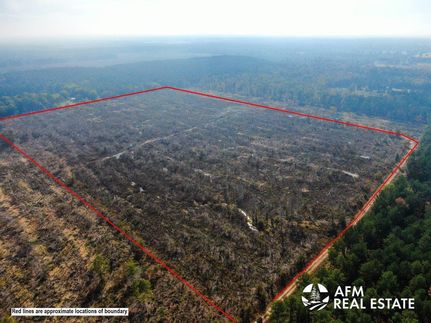 Land in Red River County, Texas