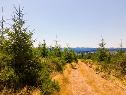 Undeveloped Land in Lane County, Oregon