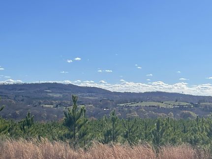 Timberland Property in Cleveland County, North Carolina