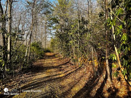 Farm and Ranch in Surry County, North Carolina