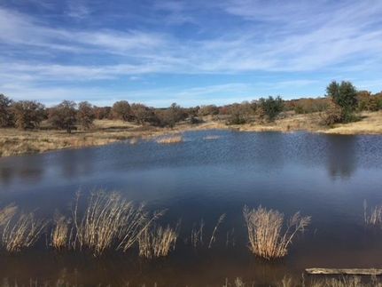 Hunting Property in Callahan County, Texas