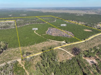 Farm and Ranch in Tyler County, Texas
