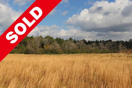 Farm and Ranch in Montgomery County, Texas