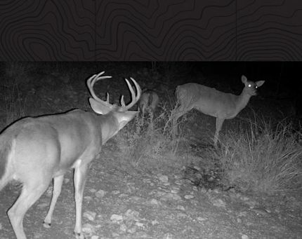 Farm and Ranch for sale in Val Verde County, Texas