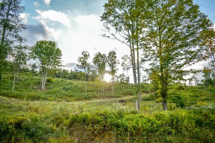 Timberland Property in Elk County, Pennsylvania