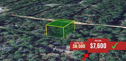 Timberland Property in Polk County, Texas