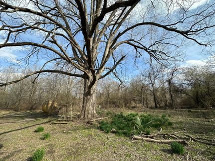 Farm and Ranch in West Carroll Parish, Louisiana